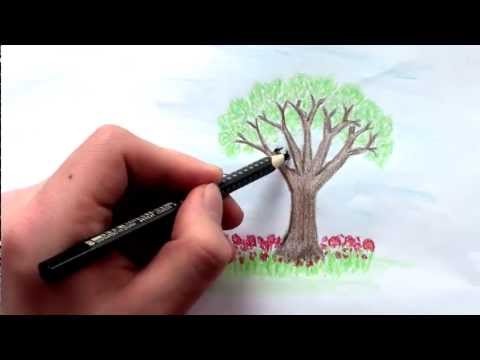 Jak nakreslit stromy