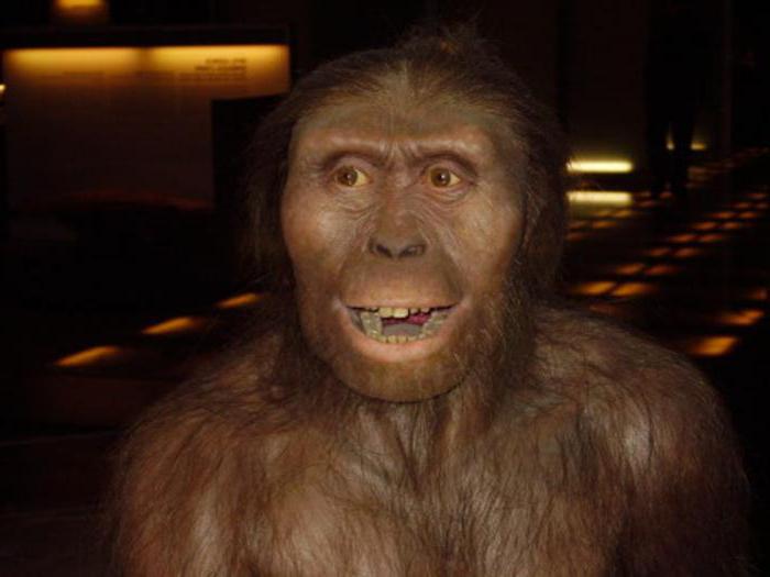 Australopithecus Cro-Magnon